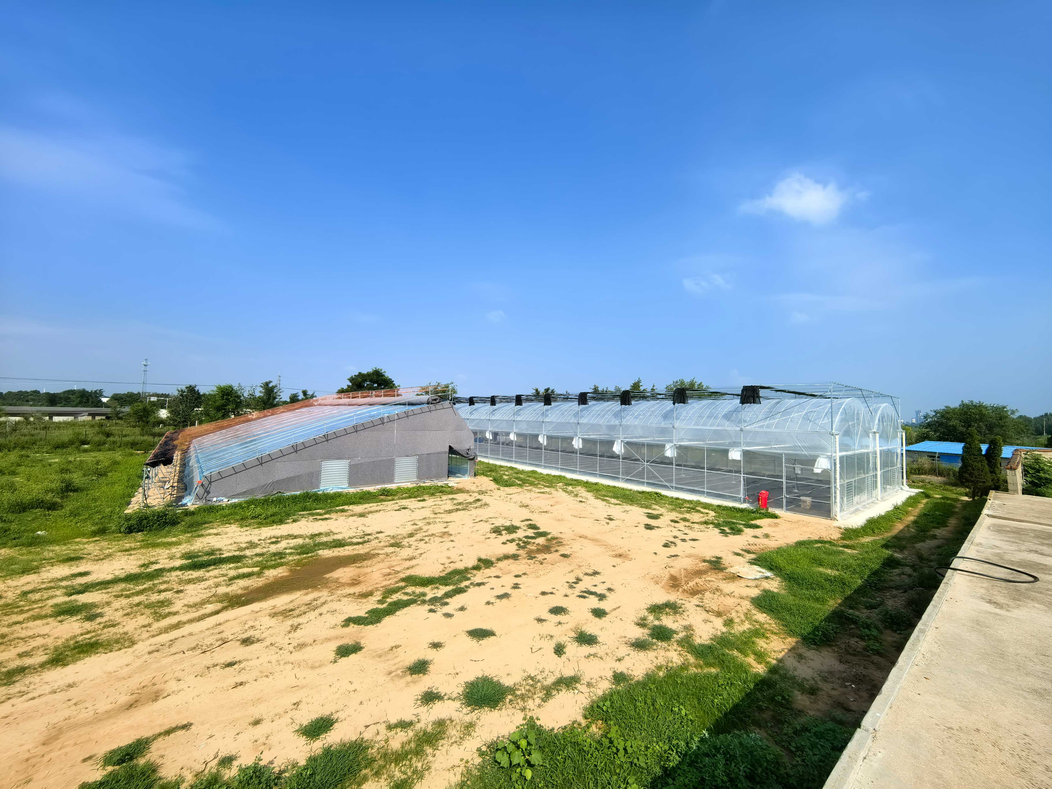 苗圃1.jpg